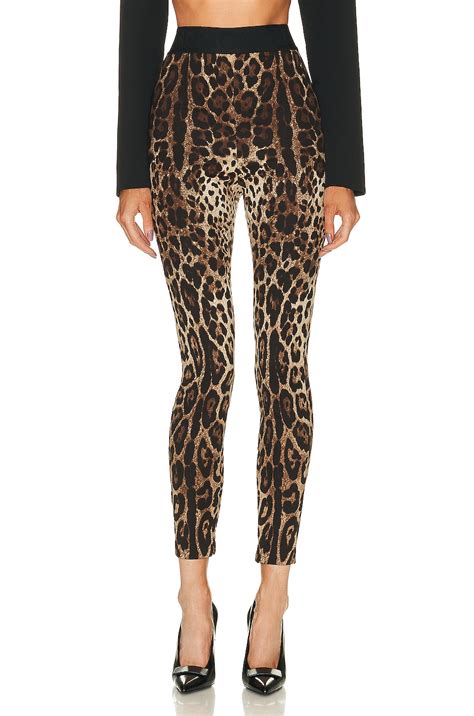 dolce and gabbana women's leggings